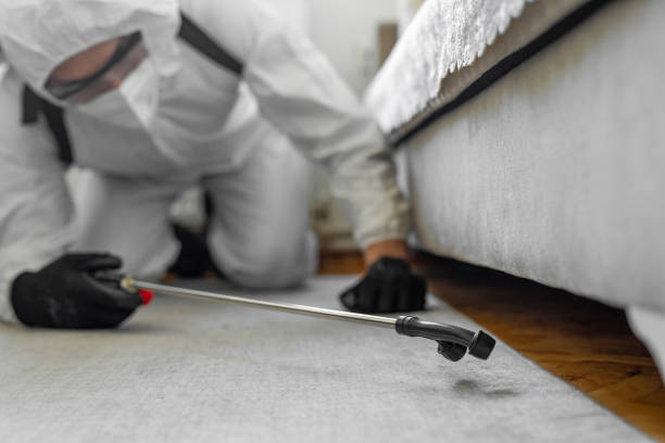 Professional Bed Bug Control technician working in Hillsboro, KS
