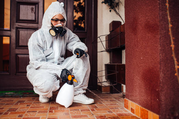 Reliable Bed Bug Control contractor in Hillsboro, KS by Nex Pest Control