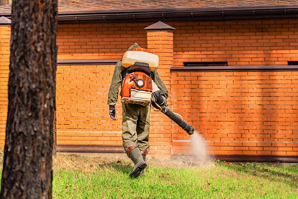 Trusted Termite Control service in Hillsboro, KS - Nex Pest Control